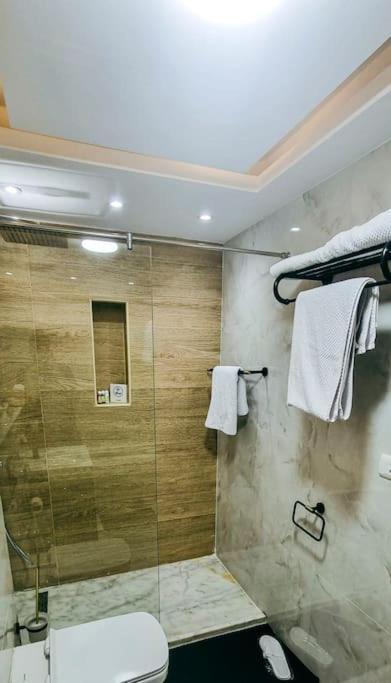 Luxury Vip Apartment ไคโร ภายนอก รูปภาพ